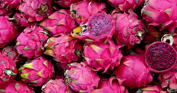 Plants for Hanging Baskets